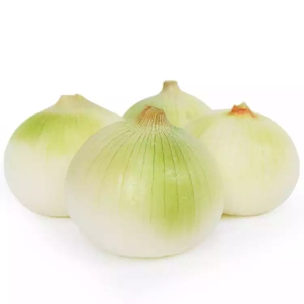 洋葱