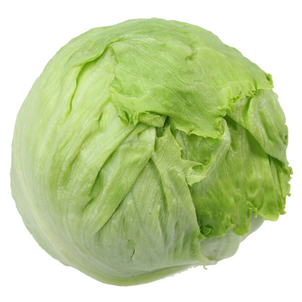 包菜